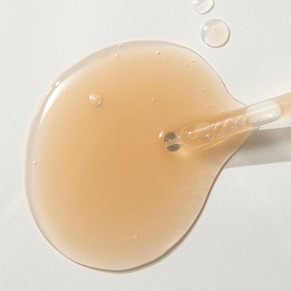 Atjaunojoša ampulu serums ādas barjeram Kaine Kombu Barrier Ampoule