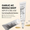 Локальный крем против воспалений VT Cosmetics Garlic AC Reedle Shot Spot Cream